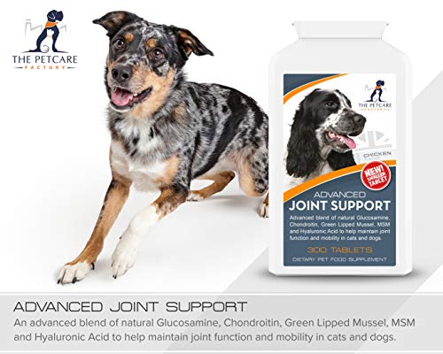 Advanced Joint Support Supplement For Dogs, With Powerful Active ...
