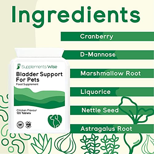 Bladder Support For Dogs and Cats UTI Treatment Urinary Tract