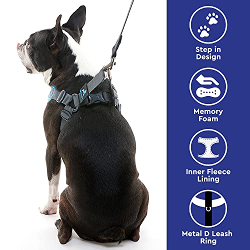 GOOBY Escape Free Memory Foam Harness Blue, Large No Pull Stepin Small Dog Harness with